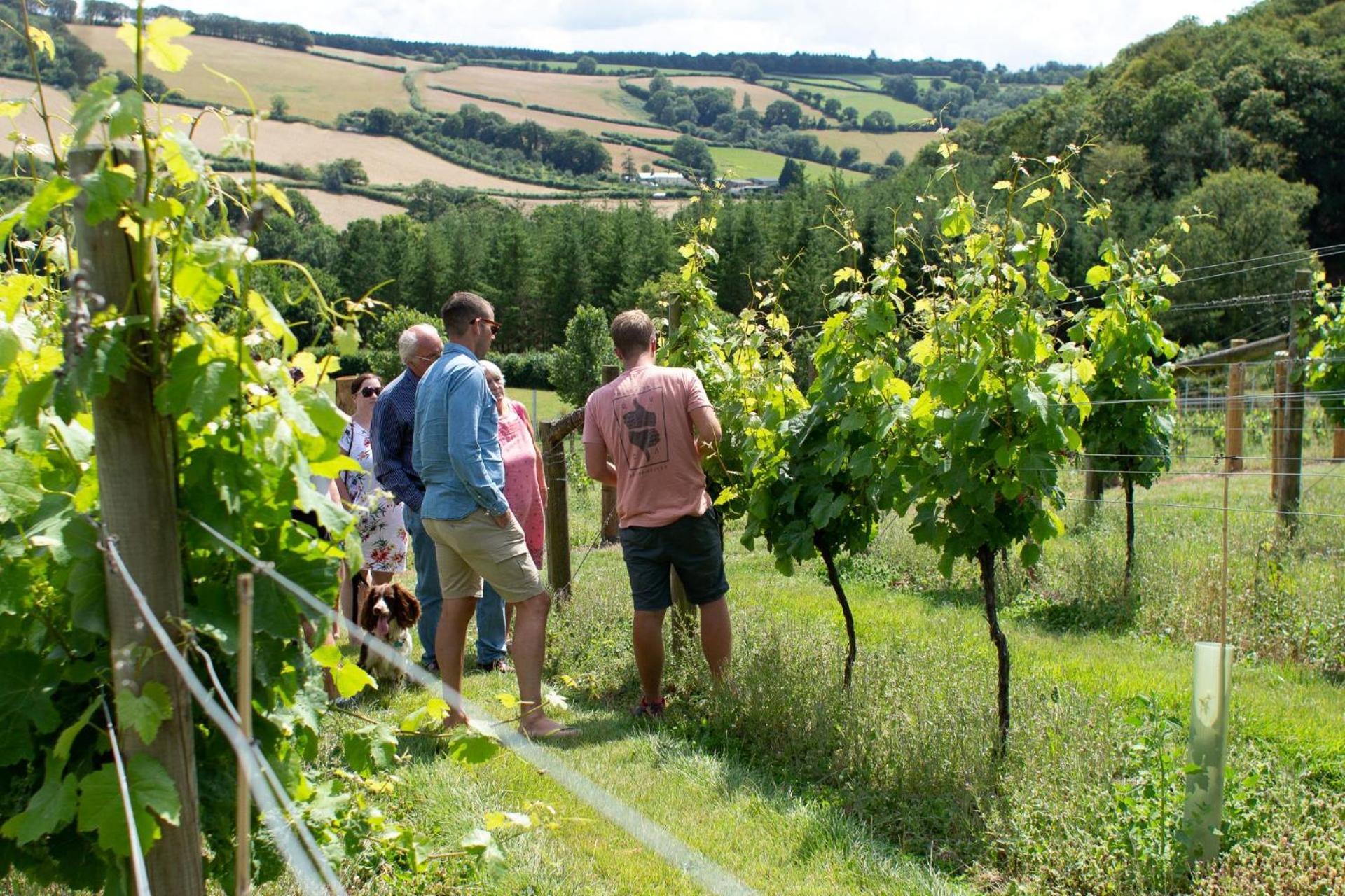 Couples Retreat In Beautiful West Devon Countryside Villa Broadwoodwidger Luaran gambar