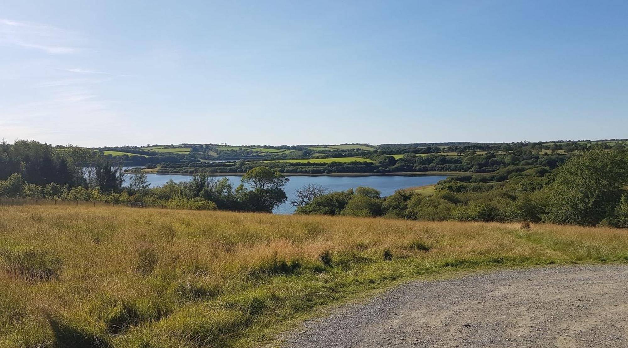 Couples Retreat In Beautiful West Devon Countryside Villa Broadwoodwidger Luaran gambar