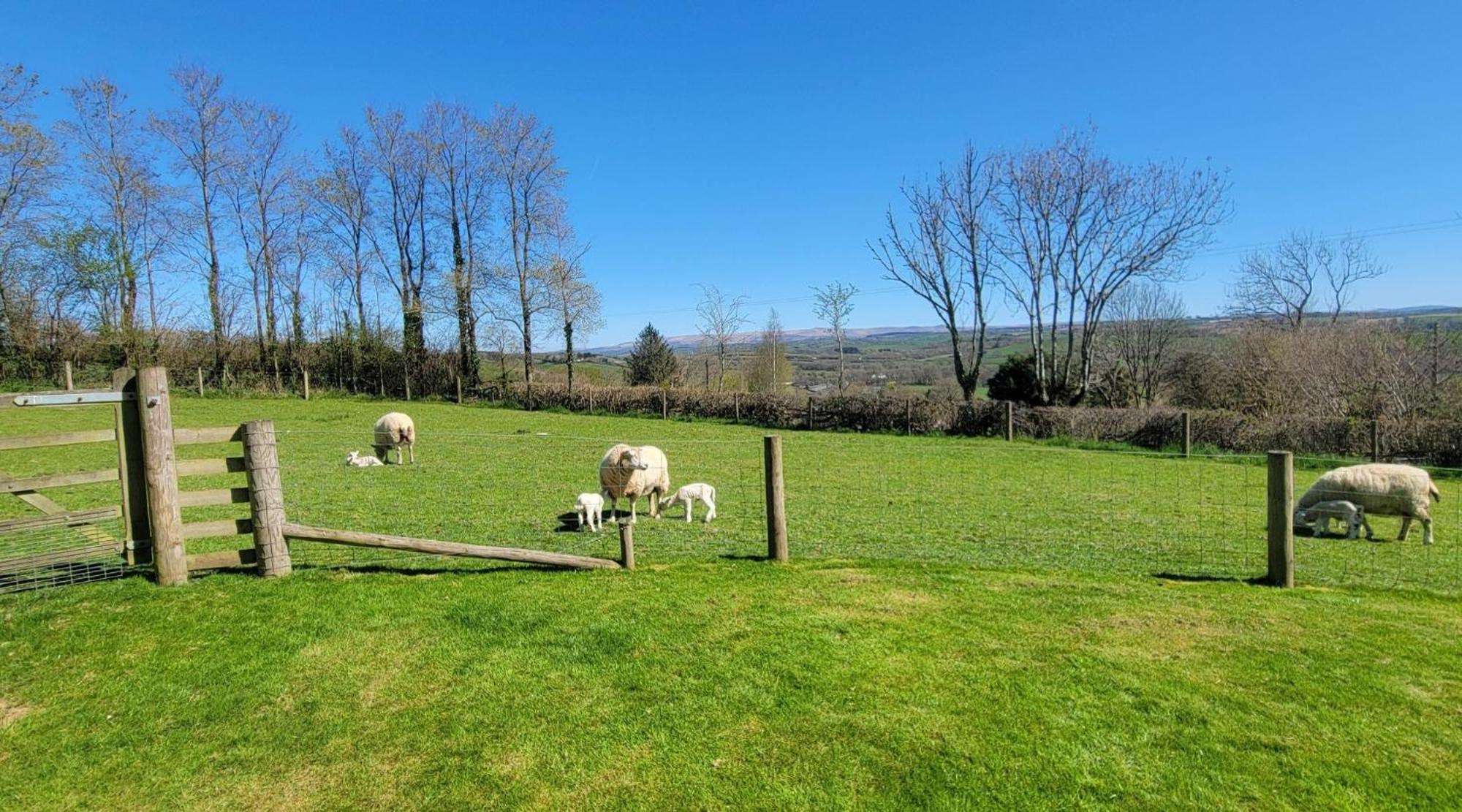 Couples Retreat In Beautiful West Devon Countryside Villa Broadwoodwidger Luaran gambar